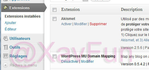 WordPress MU Domain Mapping
