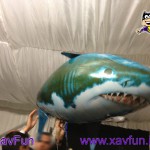 requin de la webxday