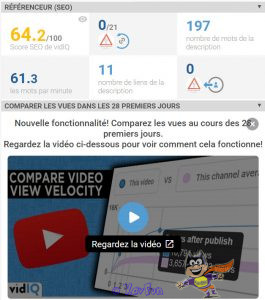 Référenceur (SEO) / Comparez les vues avec vidiQ 