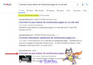 ne pas indexer ses pages