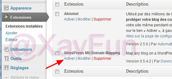 activer WordPress MU Domain Mapping
